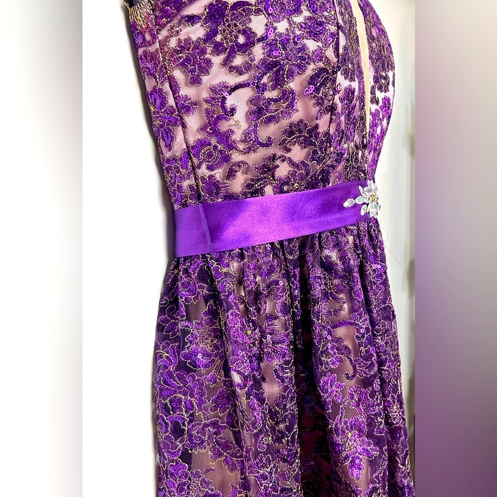 Roberta Formal Purple Strapless Dress - Picture 8 of 11